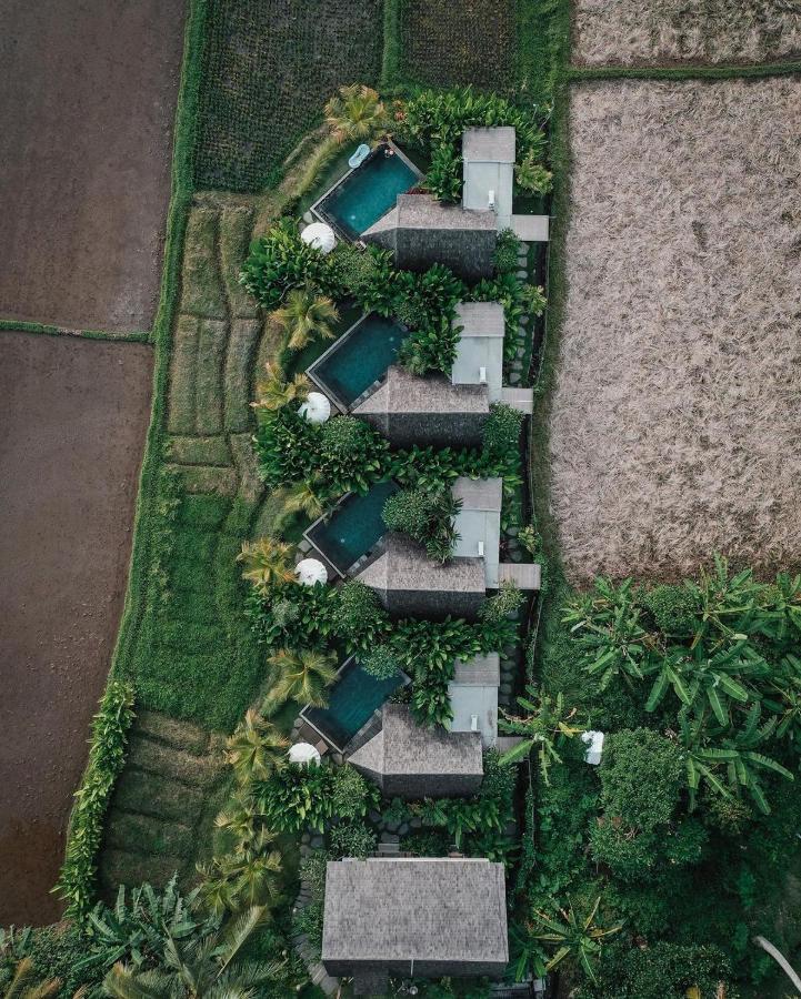 Lasamana Villas Ubud By Pramana Villas Eksteriør bilde